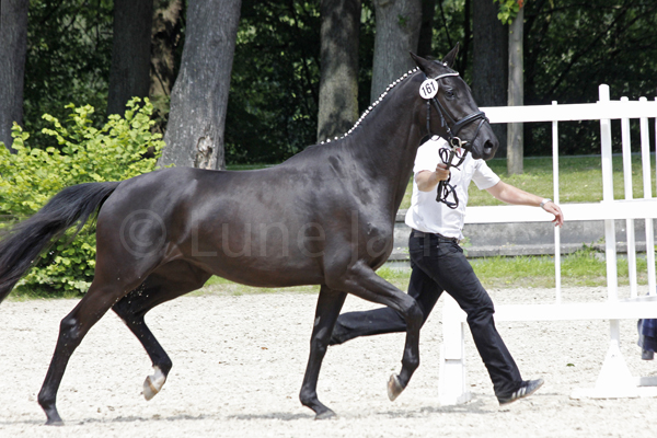 Hishiko © Lune Jancke